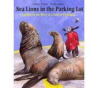 Sea Lions In The Parking Lot