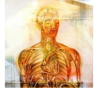 Sea of Wires - Leaving The Electric Circus [Import]