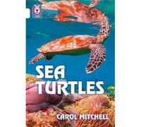 Sea Turtles by Carol Mitchell Paperback Book Carol Mitchell (Auteur)