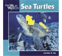 Sea Turtles, Our Wild World Series John F. McGee, Lorraine Jay (Auteur)