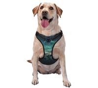 Sea Under The Aurora Borealis Gilet de traction imprimé pour animal de compagnie - Convient pour la promenade du chien, la randonnée et les aventures en plein air Taille XL