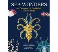 Sea Wonders The Octopus, The Cuttlefish, And The Squid