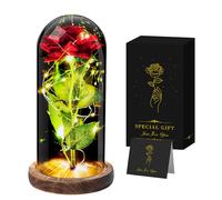 Seachrgif Cadeau Noel Femme,Rose Eternelle Rouge,Cadeaux Noel pour Maman,Sa Copine,Mamie,Soeur,Belle Soeur,Maitresse,Meilleure Amie Anniversaire, Saint-Valentin, Thanksgiving Idee Cadeau Noel