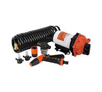 Seaflo Kit de Pompe de Lavage série 55-12V DC, 5,5 GPM, 70 PSI