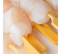 SEAFRONT Brochettes de Bambou pour Barbecue, 100 Pièces, Bambou Naturel, Finition Lisse, Facile à Utiliser, Idéales pour les Barbecues, les Fêtes et les Buffets (287)