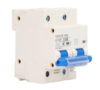 SEAFRONT Disjoncteur CC 2P,100A 1000V Système Solaire Photovoltaïque sur | Équipement électrique DC, Boîtier PA66, Compatible Véhicule électrique, 10KA Nominal, Appareillage Miniature