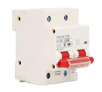 SEAFRONT Disjoncteur CC 2P,100A 1000V Système Solaire Photovoltaïque sur | Équipement électrique DC, Boîtier PA66, Compatible Véhicule électrique, 10KA Nominal, Appareillage Miniature