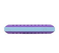 SEAFRONT Harmonica C Key, Orgue à Bouche Diatonique en Résine à 10 Trous avec Réglage Professionnel, Compact 4,13 X 1,18 X 0,79 Pouces, pour Enfants Débutants Adultes Pratique de la Musique Blues