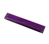 SEAFRONT Harmonica Key of C 24 Trous, Orgue à Bouche Professionnel, Matériau en Titane avec une Belle tonalité pour les Débutants, les Enfants et les Amateurs de Musique (PURPLE)