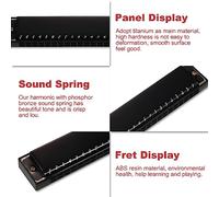 SEAFRONT Harmonica Key of C 24 Trous, Orgue à Bouche Professionnel, Matériau en Titane avec une Belle tonalité pour les Débutants, les Enfants et les Amateurs de Musique (BLACK)