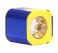 SEAFRONT Lampe de Polymérisation UV, 395-400nm, 5-7W, Type C, 5V, | LED Blacklight, Colle et Résine Durcissement, Vernis à Ongles, Réparation de Câble, Entrée DC 5V, Adaptateur Type C