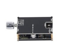 SEAFRONT Module de Carte BT Amplificateur 100W Channel Unique avec Bouton de Volume True Wireles Stéréo AUX USB Entrées BT pour Home Office DC 7-24V