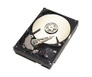 Seagate Barracuda 7200.7 Plus - Disque Dur Interne - 200 Go