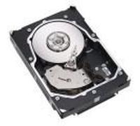 Seagate Cheetah 15K.5 - disque dur - 300 Go - Ultra320 SCSI