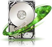 Seagate Constellation. 2 Disque Dur - Interne (St91000641ss)
