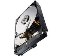 Seagate Constellation ES.3 ST1000NM0023 - Disque dur - 1 To - interne - 3.5" - SAS 6Gb/s - 7200 tours/min - mémoire tampon : 128 Mo - AES 256 bits G