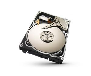 Seagate Constellation SATA 1 To, 6 Go/s, 64 Mo de cache, disque interne nu de 2,5 pouces (ST91000640NS)