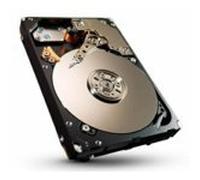 Seagate Savvio 900GB SAS 900Go SAS - disques durs (SAS, 5-12, 5-55 °C, -40-70 °C, 0.5 GS, 3.0 GS)