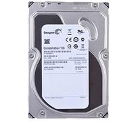 Seagate ST1000NM0011 Disque Dur 3,5" 1 to (Serial-ATA, 6 Go/s, 64 Mo, 7200 TR/Min)