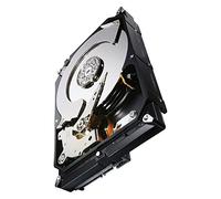 Seagate ST3000NC002 Constellation CS Interne