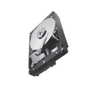 Seagate ST32000646NS Constellation ES Disque dur interne 3,5'' SATA III 7200 tours/min 2 To