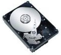 Seagate ST33000651SS - Disque Dur Interne 3 to (SAS, 3.5)
