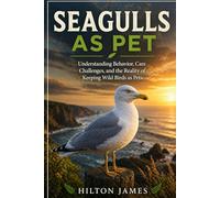 SEAGULLS AS PET: Understanding Behavior, Care Challenges, and the Reality of Keeping Wild Birds as Pets.