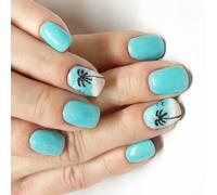 Seagulls Lot de 24 faux ongles courts carrés Couverture complète Faux ongles brillant sur ongles Presse noix de coco sur ongles