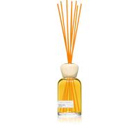 SEAL AROMAS Essential Orange Cinnamon diffuseur d'huiles essentielles 100 ml