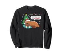 Seal Fish Official Sleep Pajamas Nightgown SleepySealion Sweatshirt