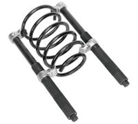 Sealey AK3845 Bobine Compresseur Ressort Set 2pc Résistant 2500kg / Paire