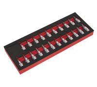 Sealey AK6243 Lot de 22 douilles TRX-Star/Hex/Spline 9,5 mm