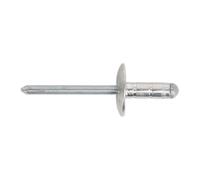 Sealey Aluminium Multi-Grip Rivet Grand Bride 4.8 x 13mm Paquet De 200 RM4813L