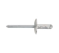 Sealey Aluminium Multi-Grip Rivet Grand Bride 4.8 x 19mm Paquet De 200 RM4819L