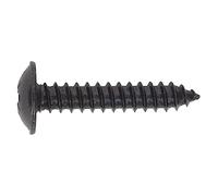 Sealey Bst4825 Vis auto-taraudeuse 4,8 x 25 mm Flanged Head Noir Pozi BS 4174 Lot de 100