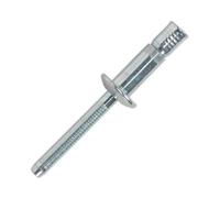 Sealey MB6332 Acier Structurel Rivet Plaqué Zinc 6.3 x 32mm Paquet De 100