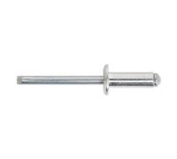 Sealey Rivets En Aluminium Standard À Tête 6,4 X 18Mm Paquet De 200 RB6418S