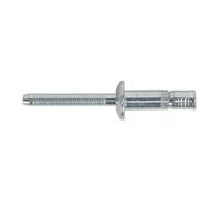 Sealey MB6332 Acier Structurel Rivet Plaqué Zinc 6.3 x 32mm Paquet De 100