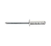 Sealey RM4819S Aluminium Multi-Grip Rivet Standard Bride 4.8 x 19mm Lot De 200