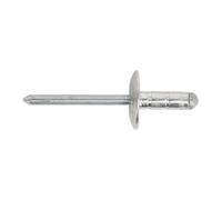 Sealey Rm4827L Aluminium Multi-Grip Rivet Large Flange 4.8 X 27Mm Pack Of 100