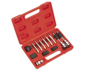 Sealey Sx401 Alternator Freewheel Removal Set 13Pc
