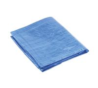 Sealey TARP2040 Bâche de Protection 6.10 X 12.19mtr Bleu