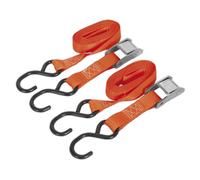 Sealey Td2525Cs Cam Buckle Tie Down 25Mm X 2.5Mtr Polyester Webbing Hooks 250Kg