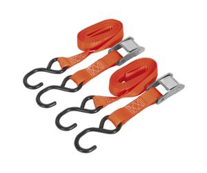 Sealey Td2525Cs Cam Buckle Tie Down 25Mm X 2.5Mtr Polyester Webbing Hooks 250Kg
