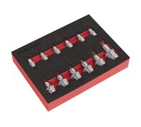 Sealey Trx-étoile Douille Set 12pc Stubby 0.6cm, 1cm & 1.3cmSq Drive AK6245