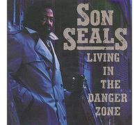 Seals, Son - Living in The Danger Zone [Import]