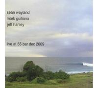 Sean Wayland - live at 55 bar dec 2009