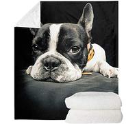 SEANATIVE Couverture jetée imprimée 3D Bouledogue français Super douce en peluche pour canapé Couverture pour TV et lit Couverture moelleuse et douce en flanelle - Taille XS