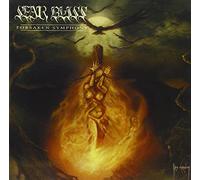 Sear Bliss – Forsaken Symphony – Plastic Head