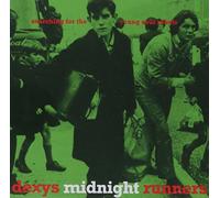 Searching For The Young Soul Rebels